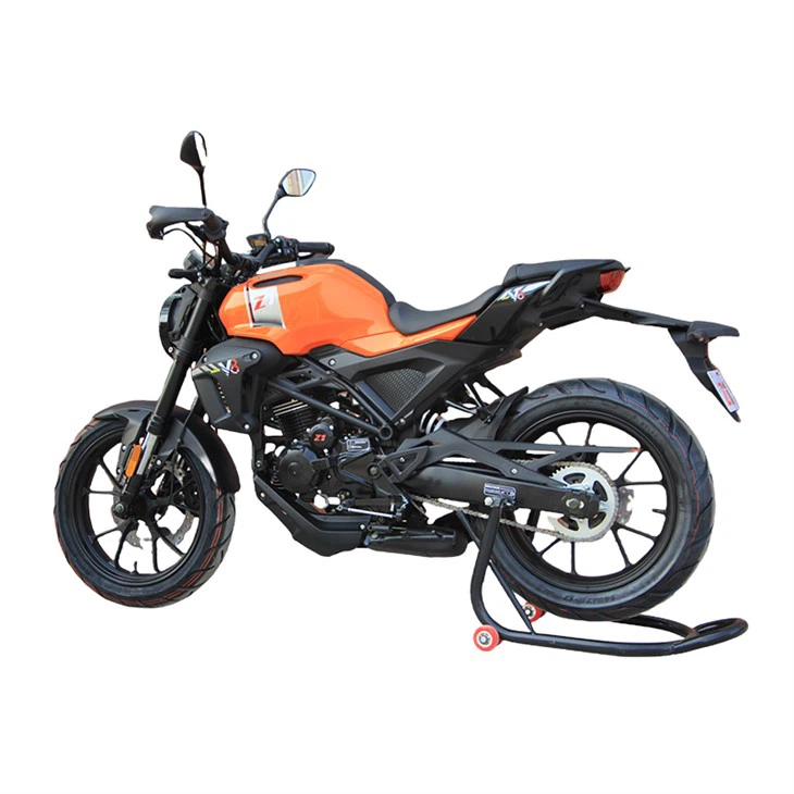 R-LD13 300cc Street Legal Dirt Bike best